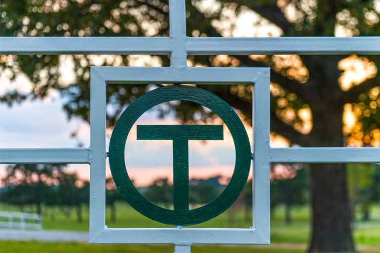 Hillwood Land and Cattle Hillwood A Perot Company