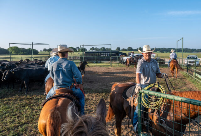 Hillwood Land and Cattle ranchers