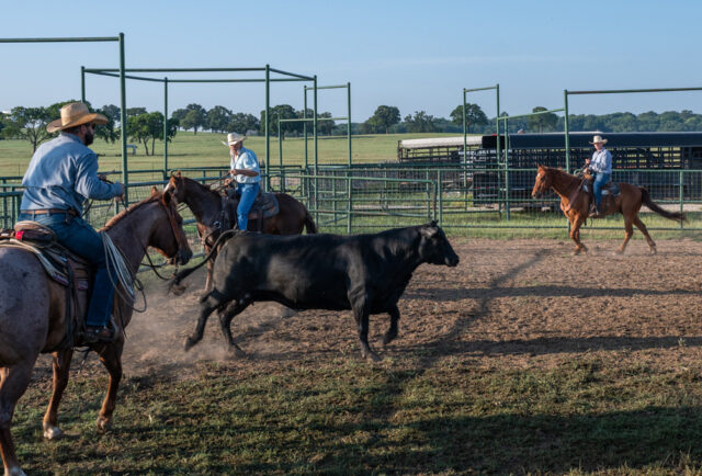 Hillwood Land and Cattle ranchers