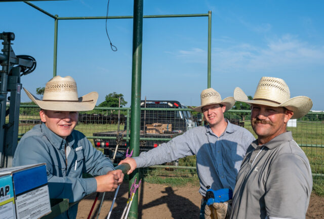 Hillwood Land and Cattle ranchers