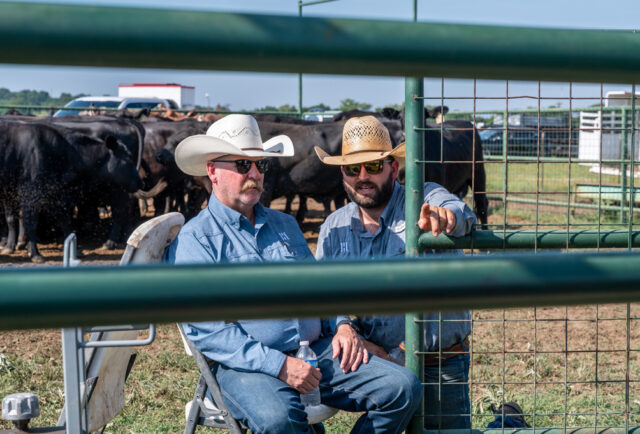 Hillwood Land and Cattle ranchers