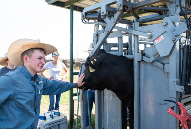 Hillwood Land and Cattle ranchers